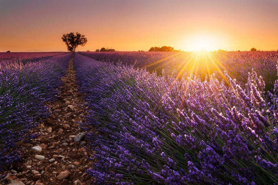 Hotel Le Relais Du Luberon Maubec  Экстерьер фото